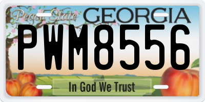 GA license plate PWM8556