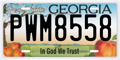 GA license plate PWM8558