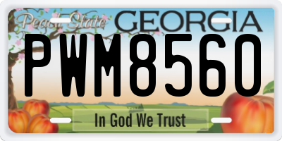 GA license plate PWM8560