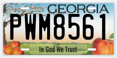 GA license plate PWM8561