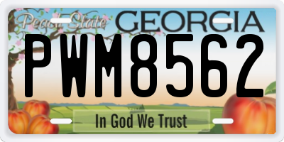 GA license plate PWM8562