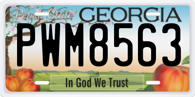 GA license plate PWM8563