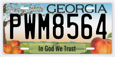 GA license plate PWM8564