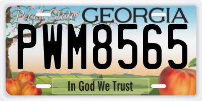 GA license plate PWM8565