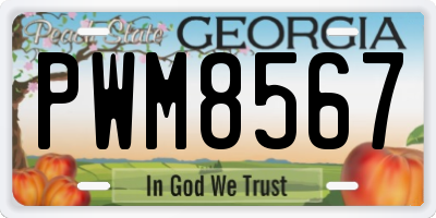 GA license plate PWM8567