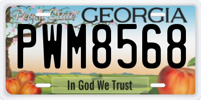 GA license plate PWM8568
