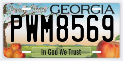 GA license plate PWM8569