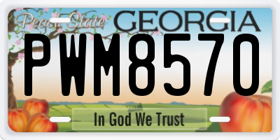 GA license plate PWM8570