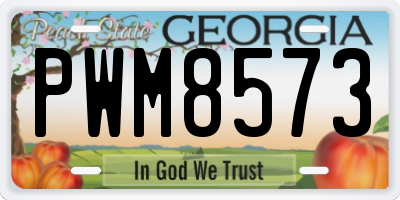 GA license plate PWM8573