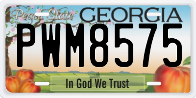 GA license plate PWM8575