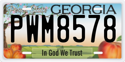 GA license plate PWM8578