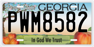 GA license plate PWM8582