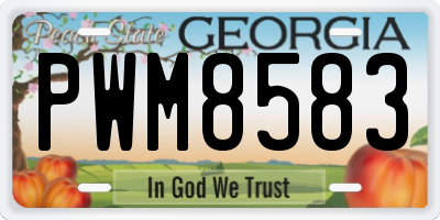 GA license plate PWM8583