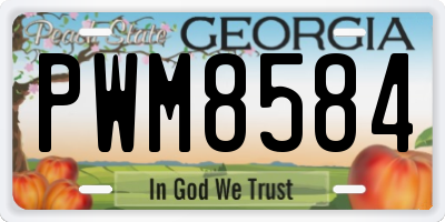 GA license plate PWM8584