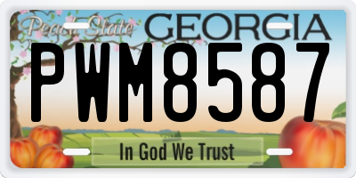 GA license plate PWM8587