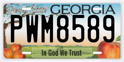 GA license plate PWM8589