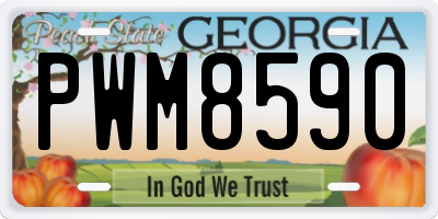 GA license plate PWM8590