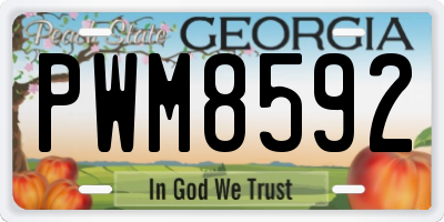GA license plate PWM8592