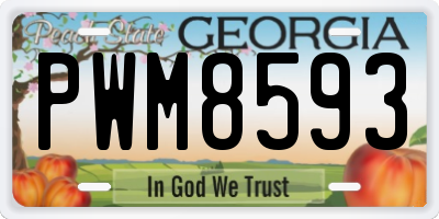 GA license plate PWM8593