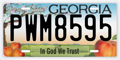 GA license plate PWM8595