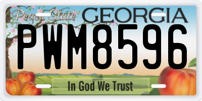 GA license plate PWM8596