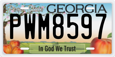 GA license plate PWM8597