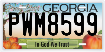 GA license plate PWM8599