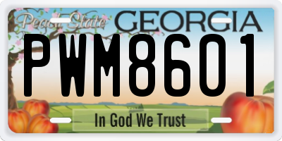GA license plate PWM8601