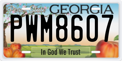 GA license plate PWM8607