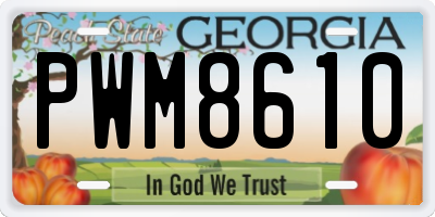 GA license plate PWM8610