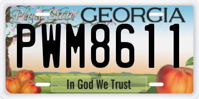 GA license plate PWM8611