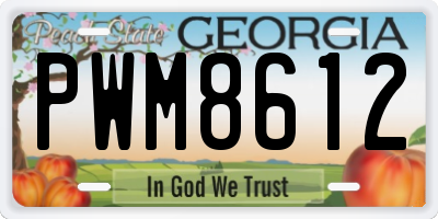 GA license plate PWM8612