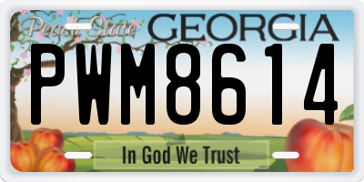 GA license plate PWM8614