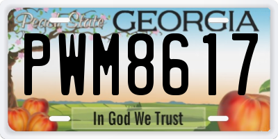 GA license plate PWM8617