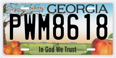 GA license plate PWM8618