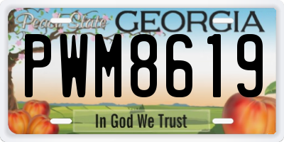 GA license plate PWM8619