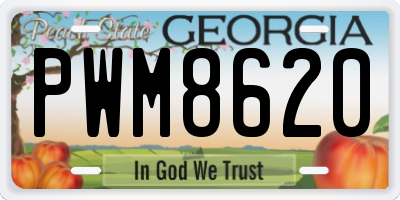 GA license plate PWM8620