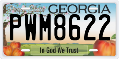 GA license plate PWM8622