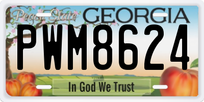 GA license plate PWM8624