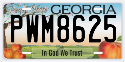 GA license plate PWM8625
