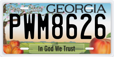 GA license plate PWM8626