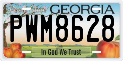 GA license plate PWM8628