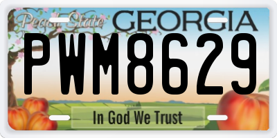 GA license plate PWM8629