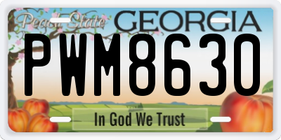 GA license plate PWM8630