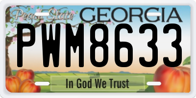 GA license plate PWM8633