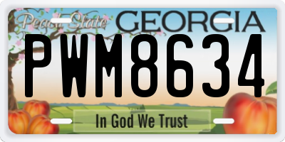 GA license plate PWM8634