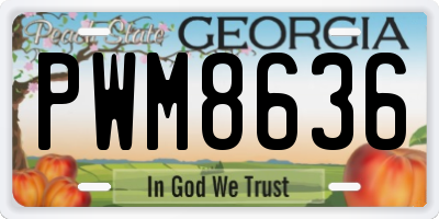 GA license plate PWM8636