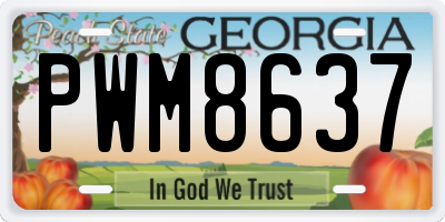 GA license plate PWM8637
