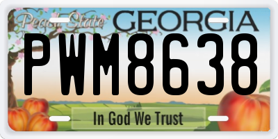 GA license plate PWM8638