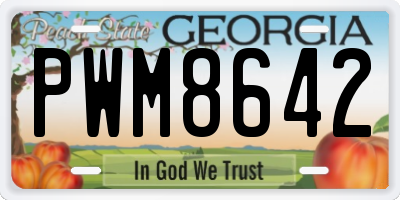 GA license plate PWM8642